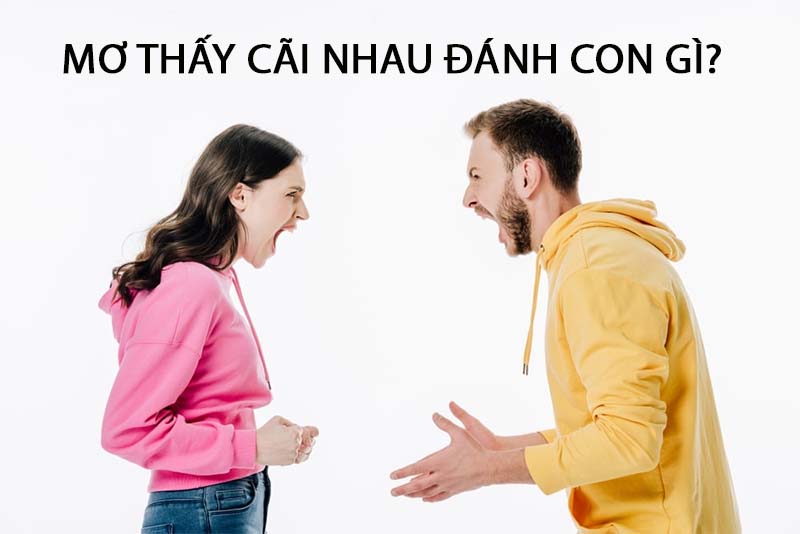 mơ thấy cãi nhau đánh con gì