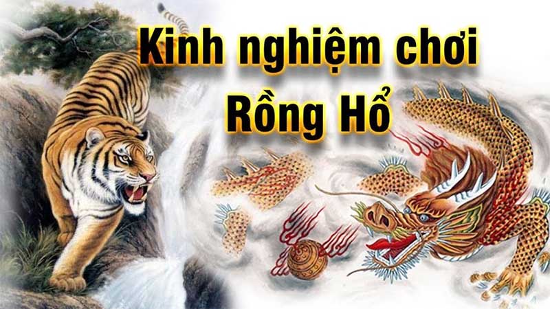 cách chơi rồng hổ