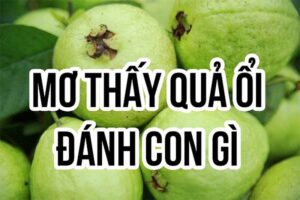 mơ thấy quả ổi